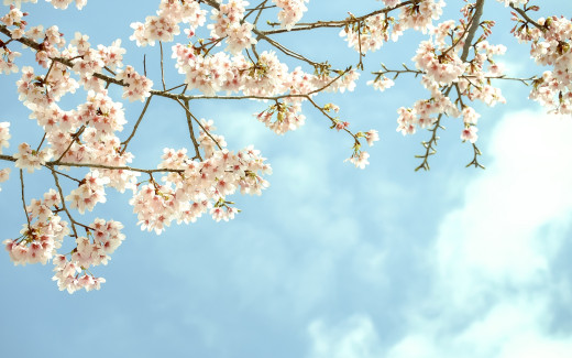 828680 (a): :2880x1800